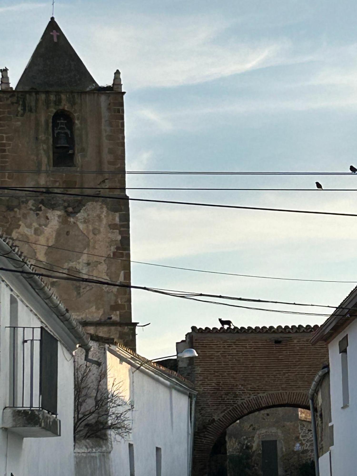 Salvatierra de Santiago Casa Rural La Manzanilla מראה חיצוני תמונה