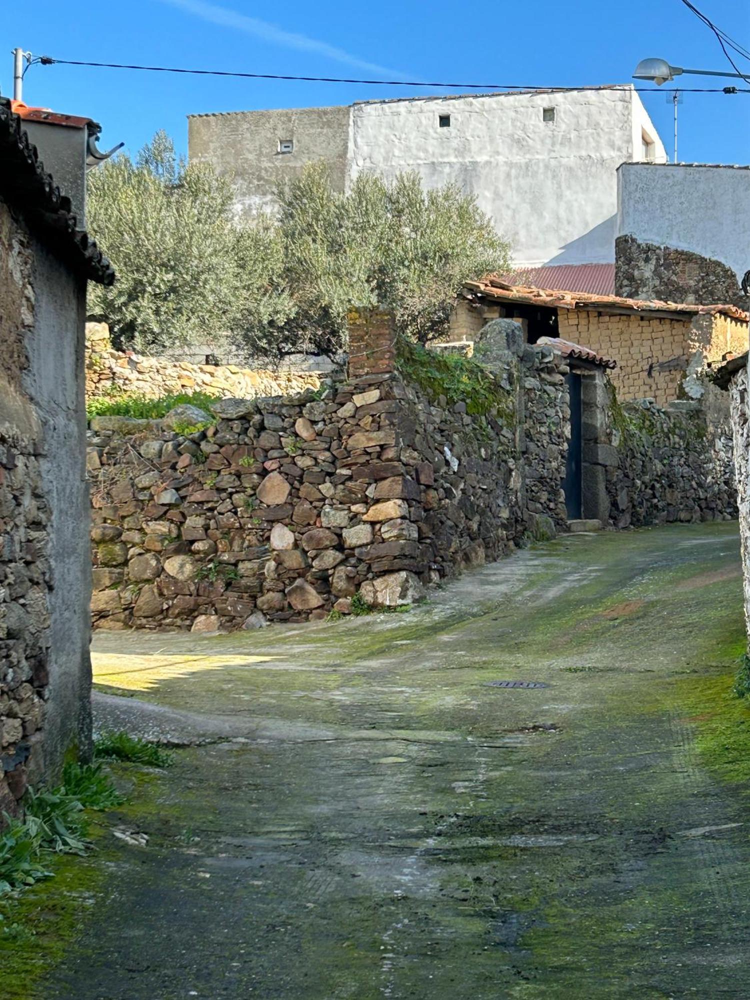 Salvatierra de Santiago Casa Rural La Manzanilla מראה חיצוני תמונה
