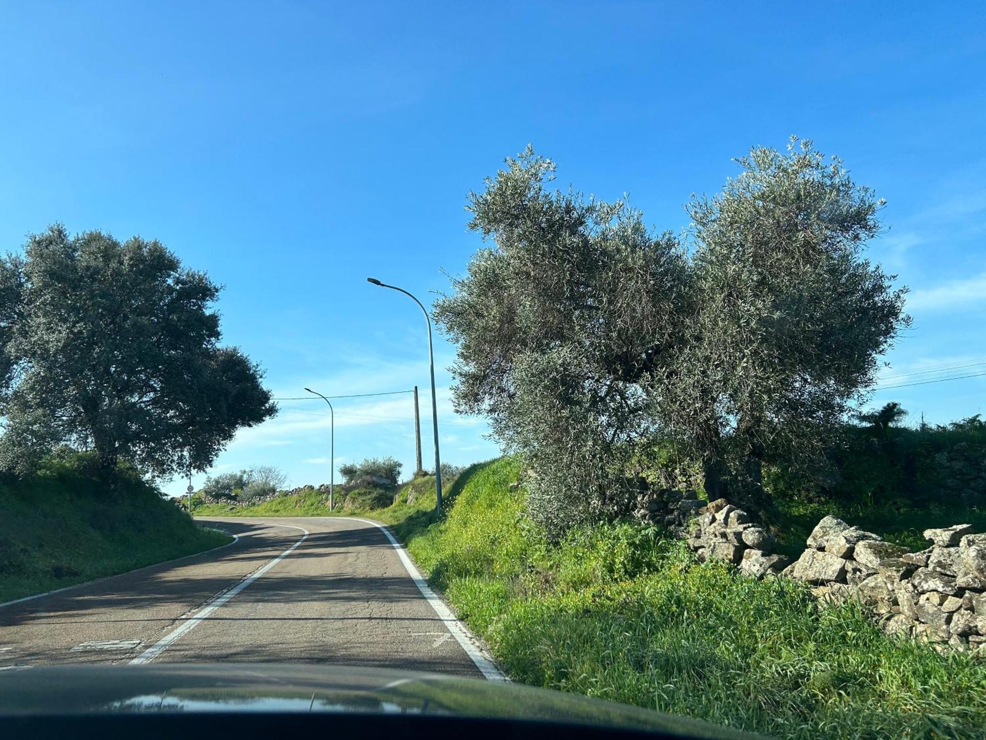 Salvatierra de Santiago Casa Rural La Manzanilla מראה חיצוני תמונה